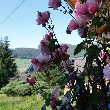 Jagerhof Bernau im Schwarzwald