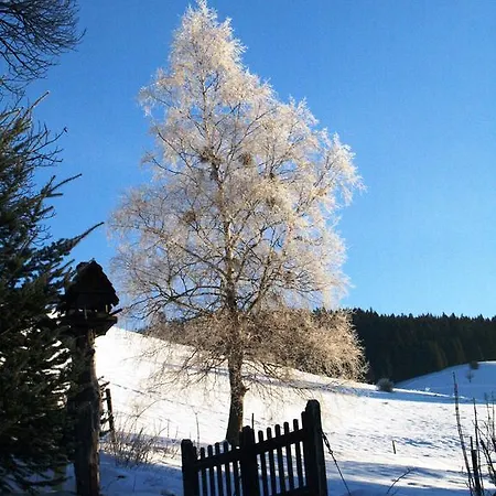 Pensión Jagerhof Bernau im Schwarzwald